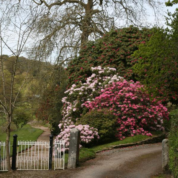 Boconnoc